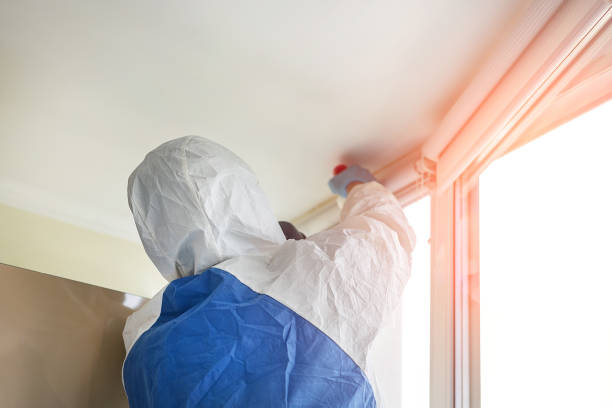 Best Residential Mold Inspection & Testing in Bayshe, OR